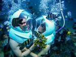 Undersea walking tour (pick up Da Nang - Hoi An - Port)