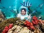 Undersea walking tour (pick up Da Nang - Hoi An - Port)