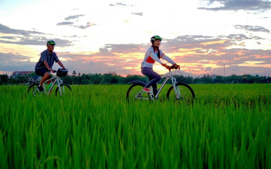 Hoi An Bay Mau Coconut Forest Tour