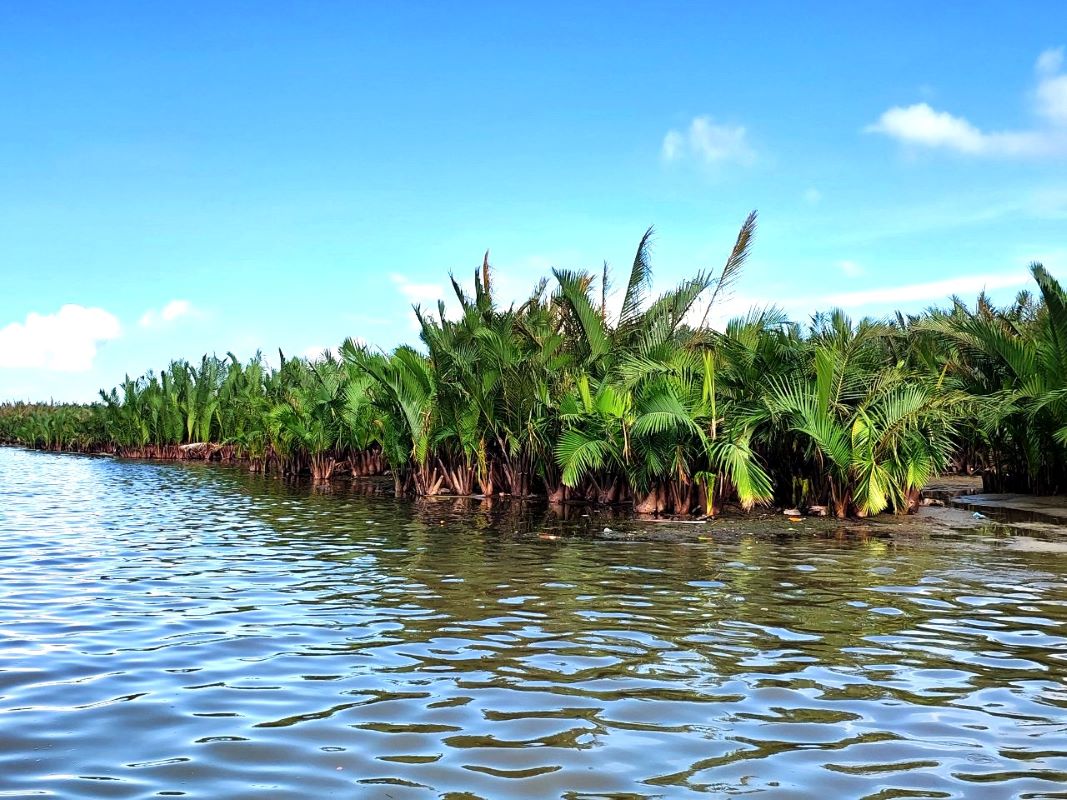 Bay Mau Coconut Forest tour